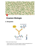 BIologie: enzymen, transport in en uit de cel en morfologie van de cel + voorbeelden en moeilijke toepassingen