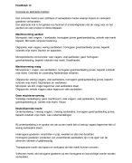 Economie H12+H13