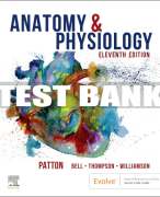 Test Bank For Anatomy & Physiology, 11th - 2023 All Chapters
