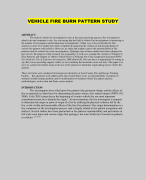 VEHICLE FIRE BURN PATTERN STUDY