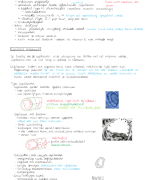 BWL hoofstuk circulatiestelsel