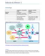 Samenvatting I&A 1
