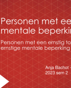 Samenvatting Personen met een Beperking 