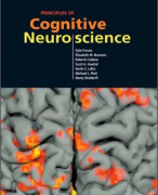Principles of Cognitive Neuroscience: Dale Purves