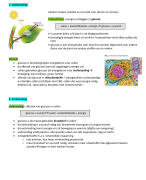 Samenvatting biologie Thema 1 Verbranding en ademhaling  Biologie voor Jou 2 havo/vwo deel A