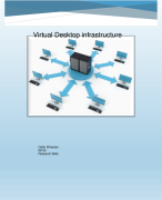 Onderzoeks rapport VDI