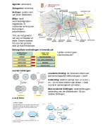 Celbiologie 1 farmacie jaar 1 