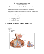 ANATOMIE - de ademhaling 