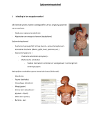 Samenvatting Anatomie en Fysiologie - Belangrijkste schema's en afbeeldingen + benamingen