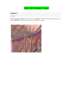 BIOD 151 Module 7 Exam (Latest-2023/2024) / BIOD151 Module 7 Exam / BIOD 151 A & P 1 Module 7 Exam: Essential Human Anatomy & Physiology I: Portage Learning |100 % Correct Q & A|