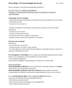 Aantekeningen sociologie