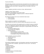 Vak Douane samenvatting