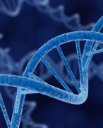 Erfelijkheid uitgewerkte aantekeningen biologie bovenbouw vwo