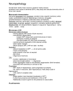 Samenvatting Human Pathology