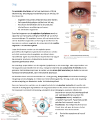 medisch fysiologie hoofdstuk 8 optometrie blok A