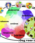 Oog voor insecten