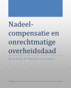 Samenvatting van het boek: Nadeelcompensatie en onrechtmatige overheidsdaad