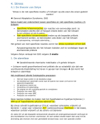 Samenvatting pijn