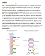 Samenvatting H4 DNA biologie voor jou