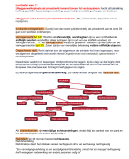 Privaatrecht samenvatting uva 1e jaar 