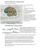 Samenvatting Neurologie & Neurologische aandoeningen