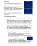 MTO-E padanalyse & factoranalyse