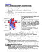 Nieren stelsel(fysiologie)