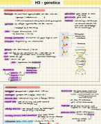 H3 Genetica vwo4