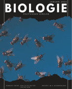 Biologie fruitvliegjes verslag