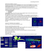 Neurobiology core program