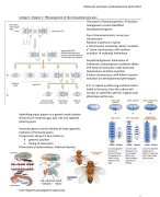 Summary molecular cell biology
