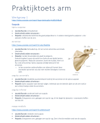 Functionele Anatomie - Bewegingsanalyse