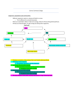 Summary Science Reader Ecology at RLS