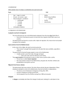 Summary Eduhint Geography 2TTO 3.1, 3.2, 3.3, 3.5