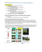 ESA-31306 Integrated Ecosystem Assessment in Regional Management