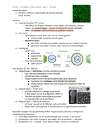 Genomica - hoorcollege + leerdoelen + kennisclips - deeltoets 2 bio-informatica