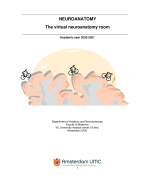 Neurosciences (AB_1200) - Neuroanatomy epracticum answers