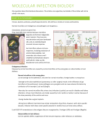 College notes on Molecular Infection Biology 