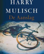 Boekverslag & Extra Analyse De Aanslag | Harry Mulisch