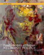 Fundamentals of Human Neuropsychology
