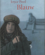 Boekverslag, Blauw - Joyce Pool
