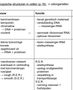 Biologie: functionele morfologie van de cel