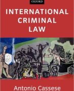 Samenvatting International Criminal Law