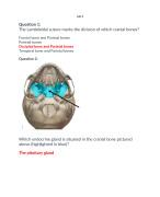 BIOD 151 Lab 3 Exam (Latest-2024/2025) / BIOD151 Lab 3 Exam / BIOD 151 A & P 1 Lab 3 Exam: Essential Human Anatomy & Physiology I: Portage Learning |100 % Correct Q & A|