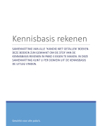 Basiskennis rekenen
