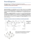 Gedragneurowetenschappen -Neurofylognese