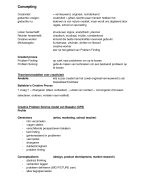 Concepting - IEMES, jaar 2, periode 2&3 samenvatting