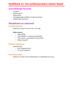 Cardiovasculaire stelsel: bloed