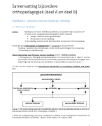 Samenvatting Bijzondere orthopedagogiek