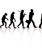 Samenvatting Biologie: Evolutie en Ordening